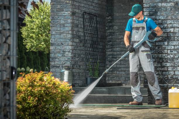 Best Graffiti Removal  in Lewisburg, TN